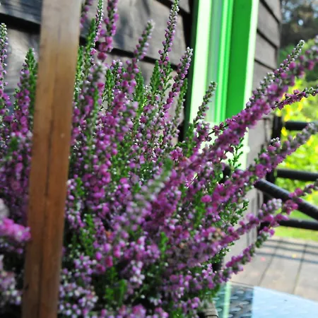 Dom wakacyjny Kraina łagodności *