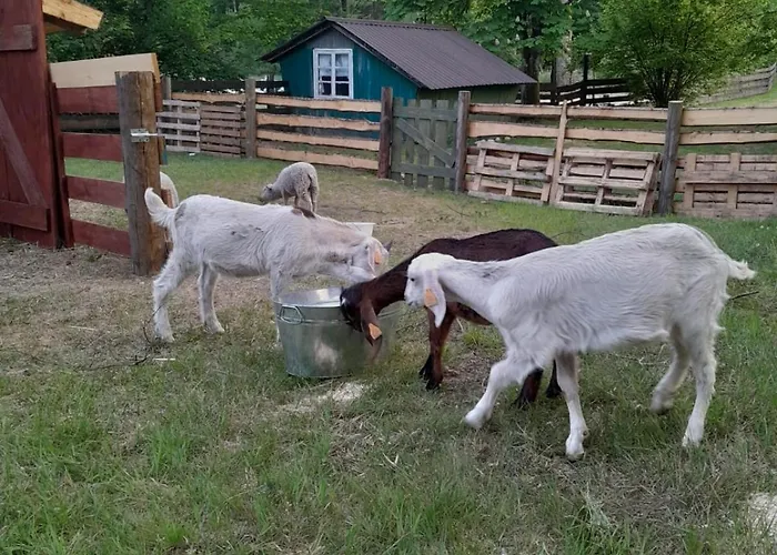 Dom wakacyjny Kraina łagodności *