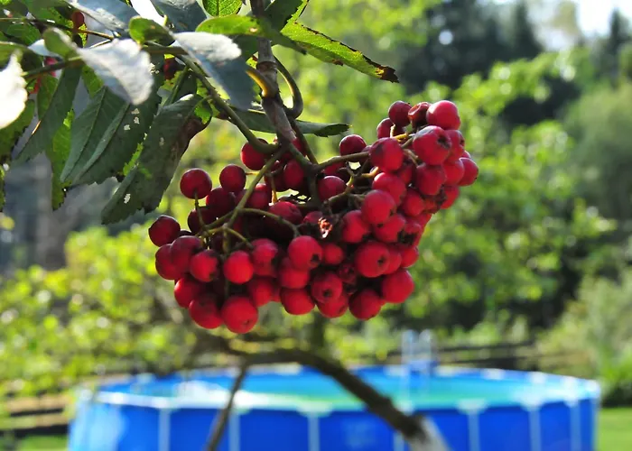 Dom wakacyjny Kraina łagodności Powidz (Koszalin)