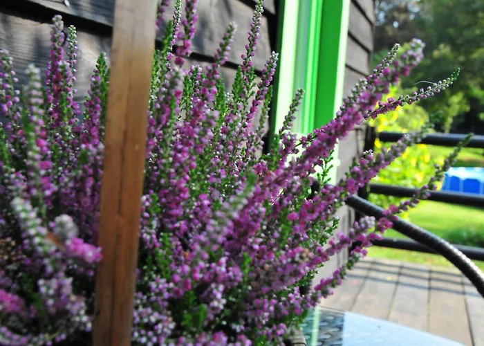 Dom wakacyjny Kraina łagodności *