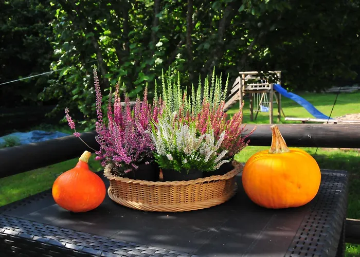 Kraina łagodności Dom wakacyjny
